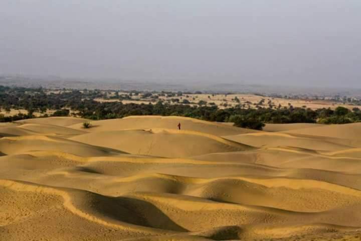 Sunny Desert Camp Kūri Esterno foto